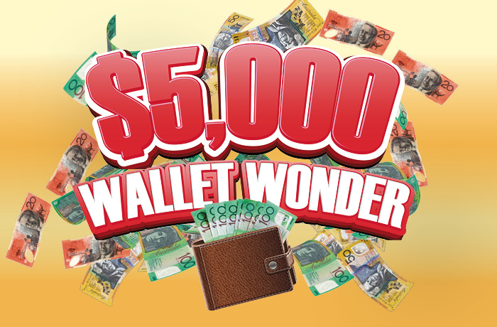 Wallet Wonder