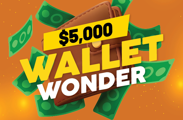 Wallet Wonder